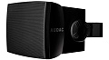 AUDAC WX302/B